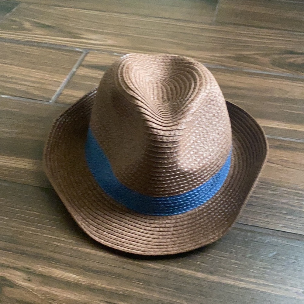 Brown and Blue Fedora